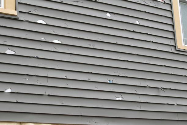 Best Engineered Wood Siding  in Planada, CA